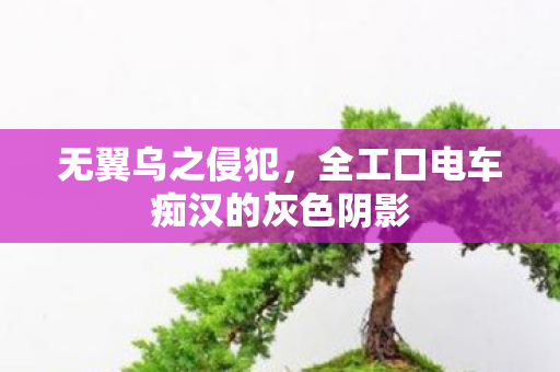 无翼乌之侵犯,全工口电车痴汉的灰色阴影 无翼乌之侵犯,全工口电车痴汉的灰色阴影