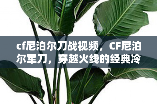 cf尼泊尔刀战视频，CF尼泊尔军刀，穿越火线的经典冷兵器