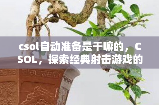 csol自动准备是干嘛的,CSOL,探索经典射击游戏的魅力与变迁 csol自动准备是干嘛的,CSOL,探索经典射击游戏的魅力与变迁