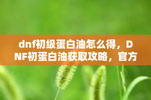 dnf初级蛋白油怎么得，DNF初蛋白油获取攻略，官方途径与高效方法