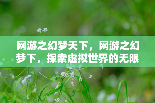 网游之幻梦天下,网游之幻梦下,探索虚拟世界的无限可能 网游之幻梦天下,网游之幻梦下,探索虚拟世界的无限可能