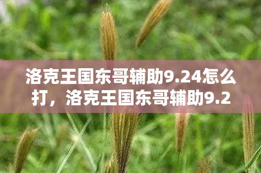 洛克王国东哥辅助9.24怎么打,洛克王国东哥辅助9.24,解锁游戏新体验,助力玩家畅游王国 洛克王国东哥辅助9.24怎么打,洛克王国东哥辅助9.24,解锁游戏新体验,助力玩家畅游王国