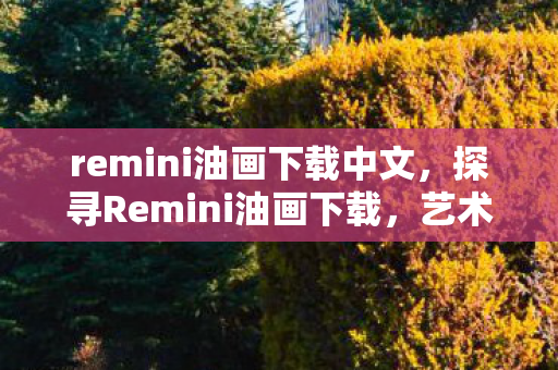 remini油画下载中文,探寻Remini油画下载,艺术与科技的完美融合 remini油画下载中文,探寻Remini油画下载,艺术与科技的完美融合
