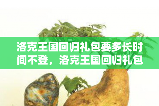 洛克王国回归礼包要多长时间不登，洛克王国回归礼包，重温经典，再续前缘