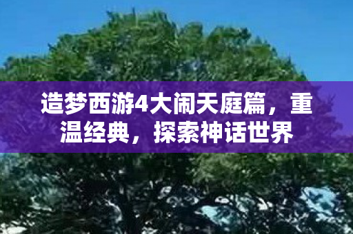 造梦西游4大闹天庭篇,重温经典,探索神话世界 造梦西游4大闹天庭篇,重温经典,探索神话世界