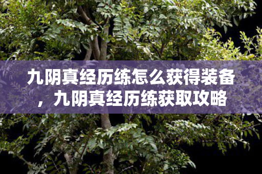 九阴真经历练怎么获得装备,九阴真经历练获取攻略 九阴真经历练怎么获得装备,九阴真经历练获取攻略