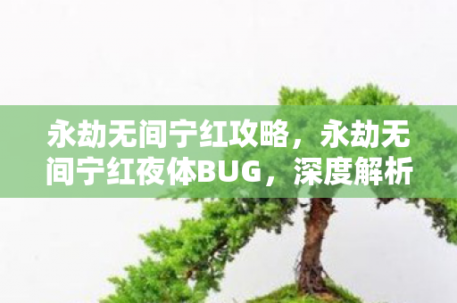 永劫无间宁红攻略,永劫无间宁红夜体BUG,深度解析与应对指南 永劫无间宁红攻略,永劫无间宁红夜体BUG,深度解析与应对指南