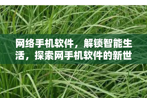 网络手机软件,解锁智能生活,探索网手机软件的新世界 网络手机软件,解锁智能生活,探索网手机软件的新世界