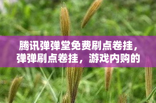 腾讯弹弹堂免费刷点卷挂,弹弹刷点卷挂,游戏内购的另类解析 腾讯弹弹堂免费刷点卷挂,弹弹刷点卷挂,游戏内购的另类解析