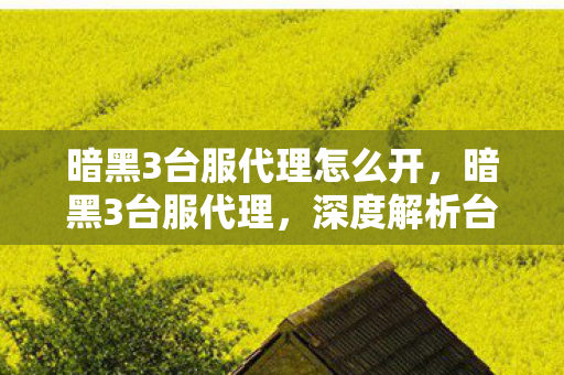 暗黑3台服代理怎么开,暗黑3台服代理,深度解析台服代理的优势与选择 暗黑3台服代理怎么开,暗黑3台服代理,深度解析台服代理的优势与选择