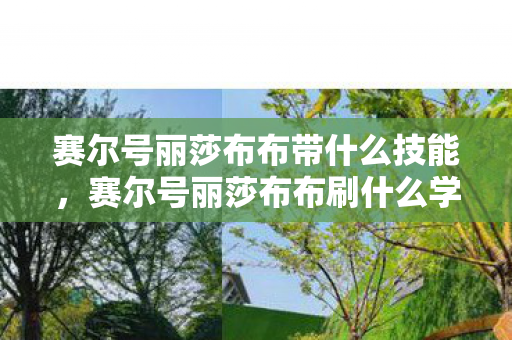 赛尔号丽莎布布带什么技能，赛尔号丽莎布布刷什么学习力