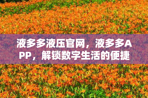 液多多液压官网，液多多APP，解锁数字生活的便捷新方式