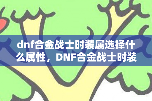 dnf合金战士时装属选择什么属性，DNF合金战士时装属选择，打造个性化战斗风格