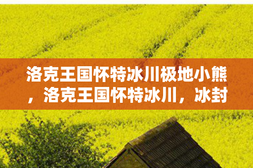洛克王国怀特冰川极地小熊，洛克王国怀特冰川，冰封世界的奇幻之旅