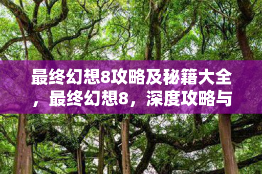 最终幻想8攻略及秘籍大全,最终幻想8,深度攻略与秘籍指南 最终幻想8攻略及秘籍大全,最终幻想8,深度攻略与秘籍指南