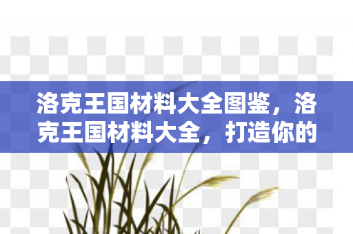 洛克王国材料大全图鉴,洛克王国材料大全,打造你的王国必备资源 洛克王国材料大全图鉴,洛克王国材料大全,打造你的王国必备资源