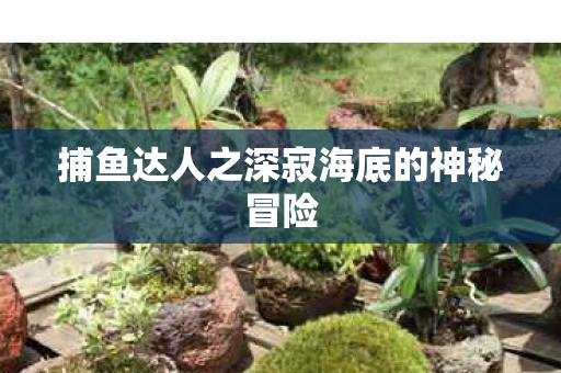 捕鱼达人之深寂海底的神秘冒险 捕鱼达人之深寂海底的神秘冒险