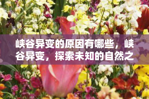 峡谷异变的原因有哪些，峡谷异变，探索未知的自然之谜