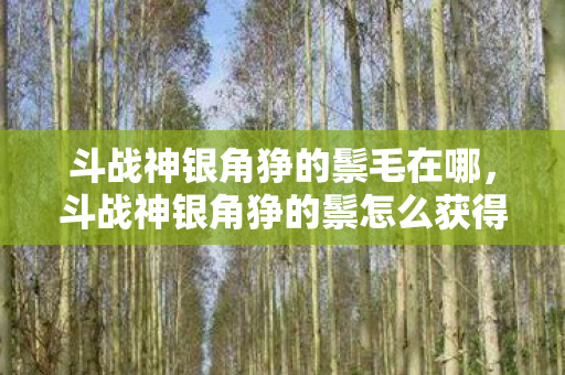斗战神银角狰的鬃毛在哪，斗战神银角狰的鬃怎么获得