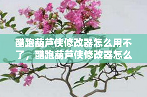 酷跑葫芦侠修改器怎么用不了，酷跑葫芦侠修改器怎么用