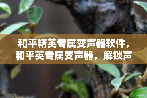 和平精英专属变声器软件,和平英专属变声器,解锁声音魅力的秘密武器 和平精英专属变声器软件,和平英专属变声器,解锁声音魅力的秘密武器