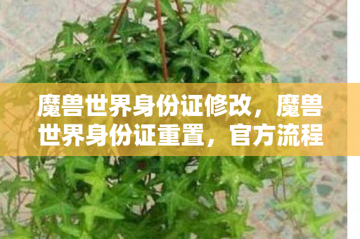 魔兽世界身份证修改，魔兽世界身份证重置，官方流程详解与注意事项