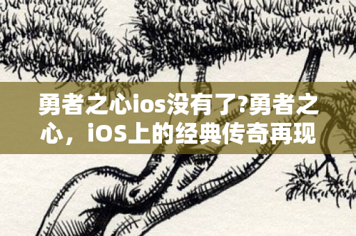 勇者之心ios没有了?勇者之心,iOS上的经典传奇再现 勇者之心ios没有了?勇者之心,iOS上的经典传奇再现