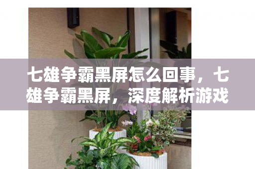 七雄争霸黑屏怎么回事,七雄争霸黑屏,深度解析游戏运行中的意外状况 七雄争霸黑屏怎么回事,七雄争霸黑屏,深度解析游戏运行中的意外状况