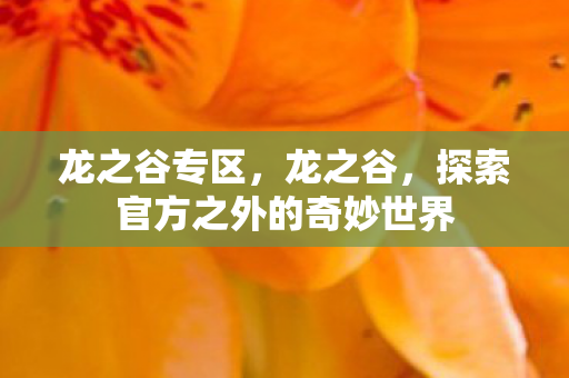 龙之谷专区,龙之谷,探索官方之外的奇妙世界 龙之谷专区,龙之谷,探索官方之外的奇妙世界