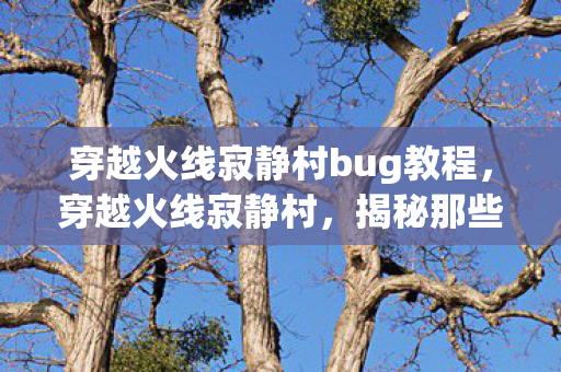 穿越火线寂静村bug教程,穿越火线寂静村,揭秘那些鲜为人知的BUG 穿越火线寂静村bug教程,穿越火线寂静村,揭秘那些鲜为人知的BUG