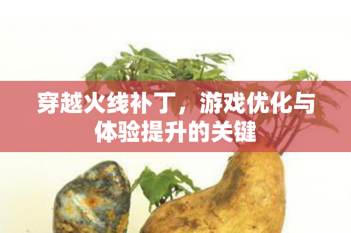 穿越火线补丁,游戏优化与体验提升的关键 穿越火线补丁,游戏优化与体验提升的关键