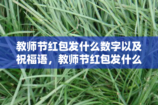 教师节红包发什么数字以及祝福语,教师节红包发什么数字,传递心意,而非数字游戏 教师节红包发什么数字以及祝福语,教师节红包发什么数字,传递心意,而非数字游戏