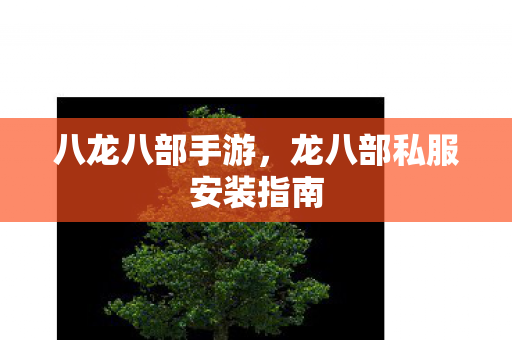 八龙八部手游，龙八部私服安装指南
