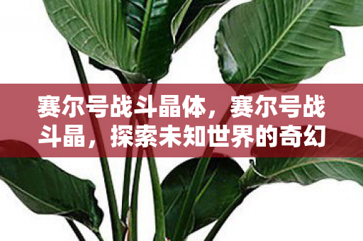 赛尔号战斗晶体,赛尔号战斗晶,探索未知世界的奇幻之旅 赛尔号战斗晶体,赛尔号战斗晶,探索未知世界的奇幻之旅