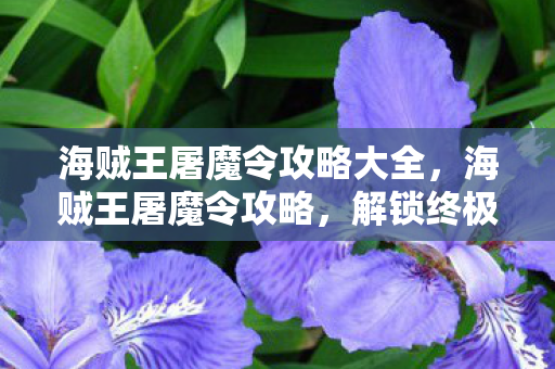海贼王屠魔令攻略大全,海贼王屠魔令攻略,解锁终极战斗技巧 海贼王屠魔令攻略大全,海贼王屠魔令攻略,解锁终极战斗技巧