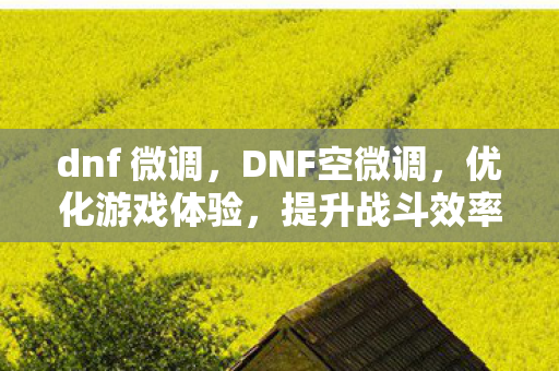 dnf 微调,DNF空微调,优化游戏体验,提升战斗效率 dnf 微调,DNF空微调,优化游戏体验,提升战斗效率
