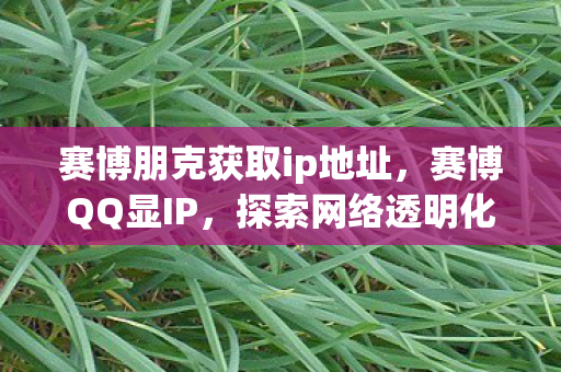 赛博朋克获取ip地址,赛博QQ显IP,探索网络透明化的新篇章 赛博朋克获取ip地址,赛博QQ显IP,探索网络透明化的新篇章