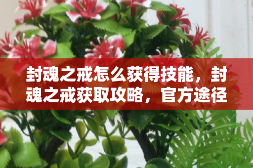 封魂之戒怎么获得技能,封魂之戒获取攻略,官方途径与策略分享 封魂之戒怎么获得技能,封魂之戒获取攻略,官方途径与策略分享