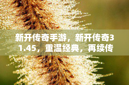 新开传奇手游，新开传奇3 1.45，重温经典，再续传奇