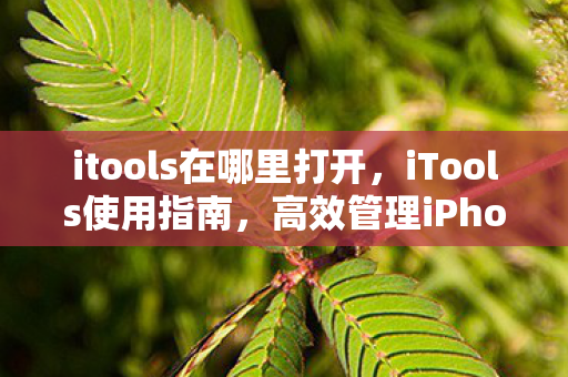 itools在哪里打开,iTools使用指南,高效管理iPhone与iPad itools在哪里打开,iTools使用指南,高效管理iPhone与iPad