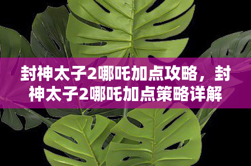 封神太子2哪吒加点攻略,封神太子2哪吒加点策略详解 封神太子2哪吒加点攻略,封神太子2哪吒加点策略详解