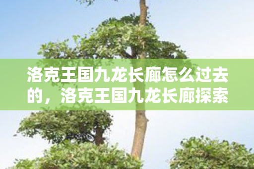 洛克王国九龙长廊怎么过去的,洛克王国九龙长廊探索指南 洛克王国九龙长廊怎么过去的,洛克王国九龙长廊探索指南