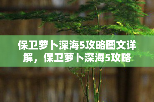 保卫萝卜深海5攻略图文详解,保卫萝卜深海5攻略 保卫萝卜深海5攻略图文详解,保卫萝卜深海5攻略