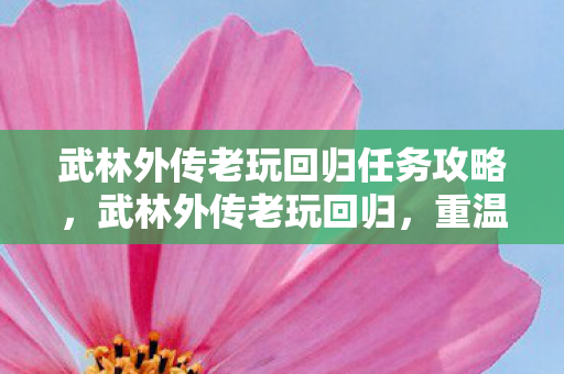 武林外传老玩回归任务攻略,武林外传老玩回归,重温经典,再续江湖情缘 武林外传老玩回归任务攻略,武林外传老玩回归,重温经典,再续江湖情缘