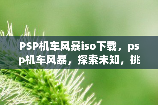 PSP机车风暴iso下载,psp机车风暴,探索未知,挑战极限 PSP机车风暴iso下载,psp机车风暴,探索未知,挑战极限