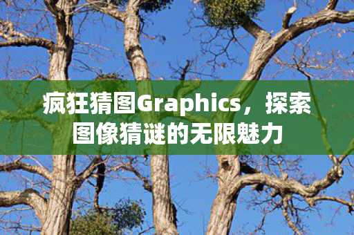 疯狂猜图Graphics,探索图像猜谜的无限魅力 疯狂猜图Graphics,探索图像猜谜的无限魅力