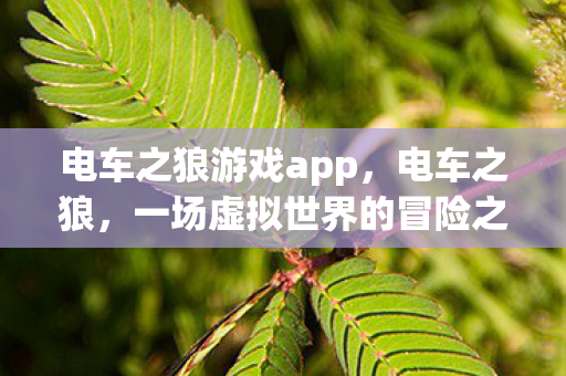 电车之狼游戏app,电车之狼,一场虚拟世界的冒险之旅 电车之狼游戏app,电车之狼,一场虚拟世界的冒险之旅