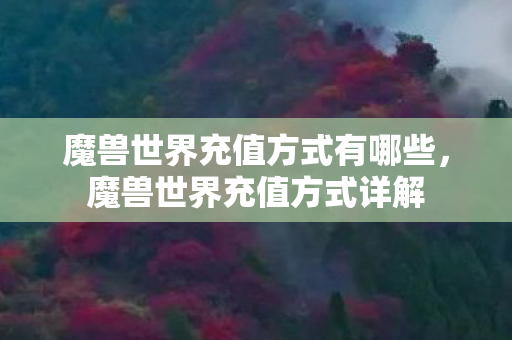 魔兽世界充值方式有哪些,魔兽世界充值方式详解 魔兽世界充值方式有哪些,魔兽世界充值方式详解