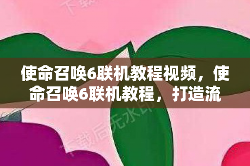 使命召唤6联机教程视频，使命召唤6联机教程，打造流畅游戏体验