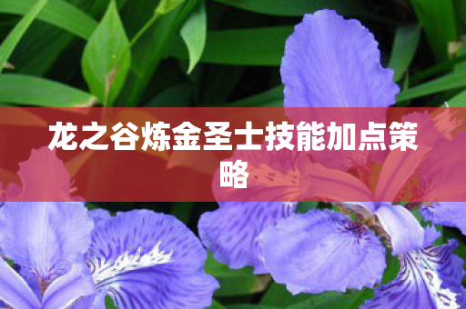 龙之谷炼金圣士技能加点策略 龙之谷炼金圣士技能加点策略